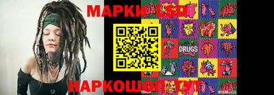 гидропоника Заволжье