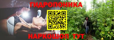 хмурый Заводоуковск