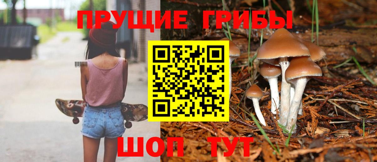 Псилоцибиновые грибы ЛСД Лянтор